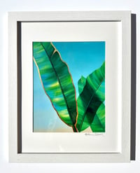 “Clearing Space” Framed Print