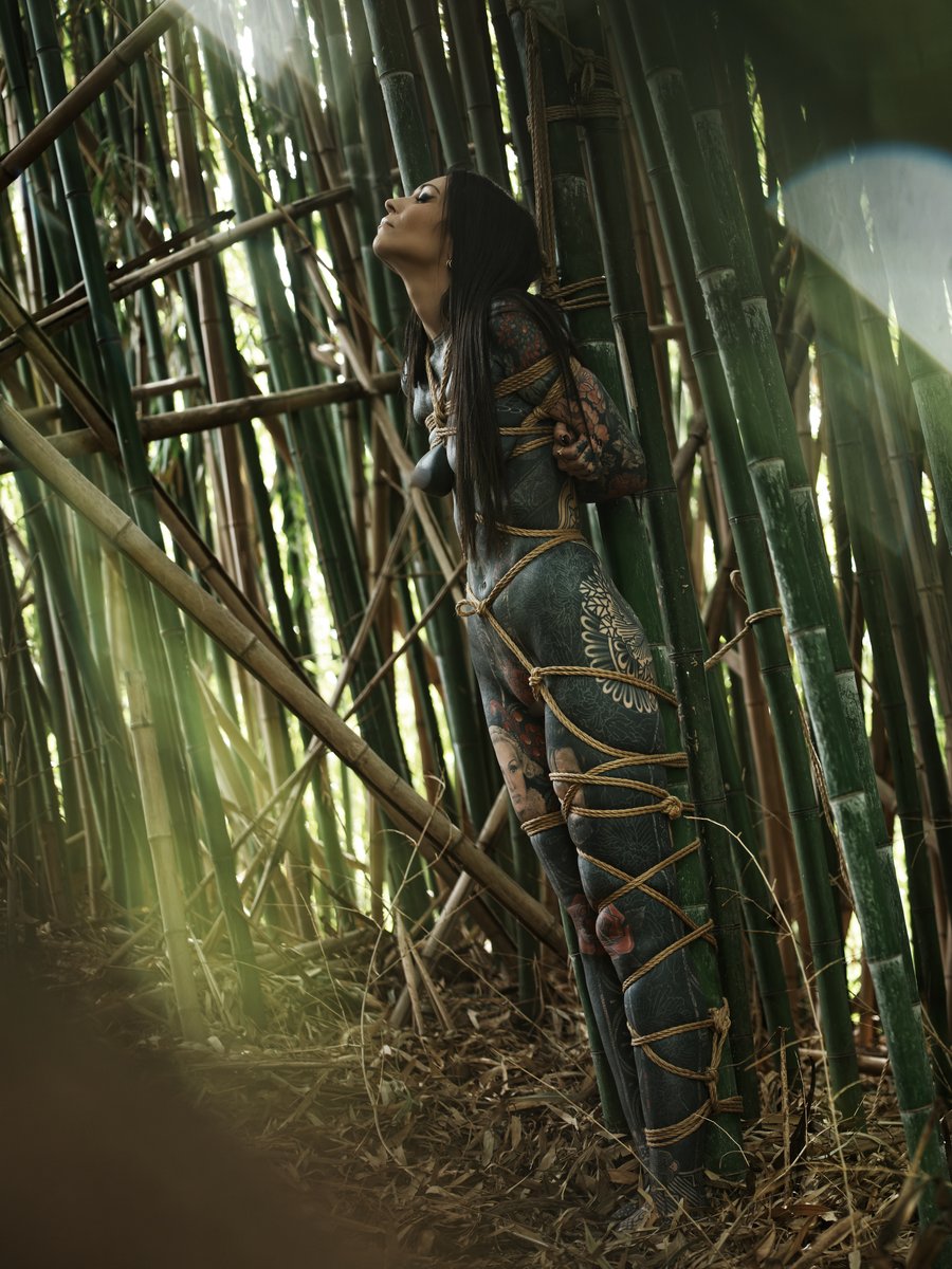 Image of Bamboo Forest 2/4