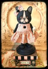 Folk Art dog on candy box Boston Terrier