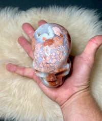 Image 5 of Druzy Pink Petal Agate Skull Carving #2240