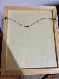 Image 5 of Desert Cat