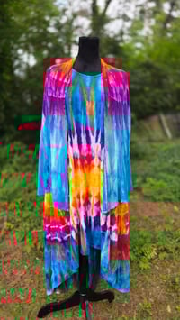 Image 11 of Birds of Paradise