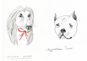 Image of Custom Dog Portrait