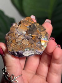 Image 5 of NATURAL RAINBOW IRIDESCENT CUBIC FLUORITE -CHINA- P