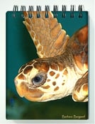 Image of  Sea Turtle Spiral Notebook