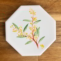 Image 2 of Wattle Coasters