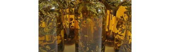 Image of Herbal Oil