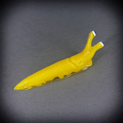 Image of Yellow Boro Slug