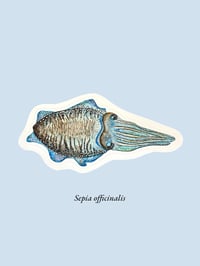 Image 10 of Stickers