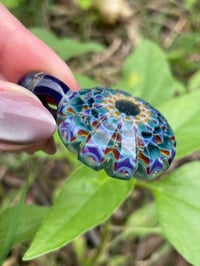 Image 5 of Blue Iris