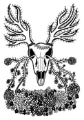 Image of Antlers print (unframed)