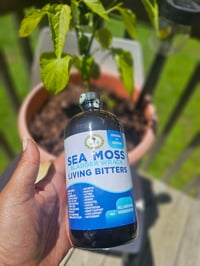 Image 1 of Sea Moss Bladder Wrack Living Bitters