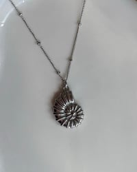 Image 1 of Stainless Steel Spiral Shell Necklace