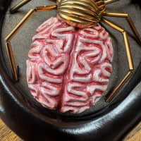 Image 3 of Brain spider (6x5 inches) 
