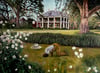 “Prayer on a Plantation” 2021 print 