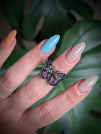Image 4 of Brandis Butterfly 
