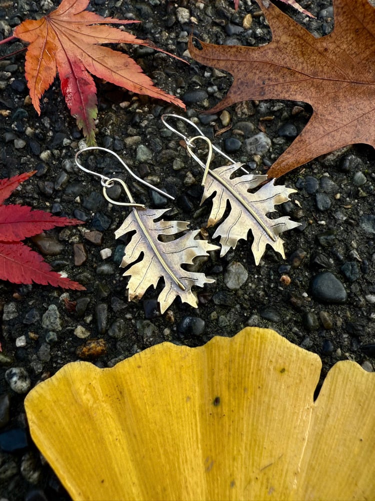Image of Shumard Oak Leaf Brass Earrings