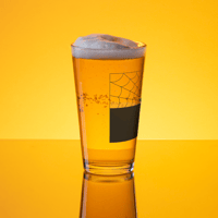 Image 2 of Lower AZ CheLAZ pint glass black