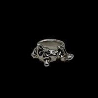 Image 1 of vertebral ring 