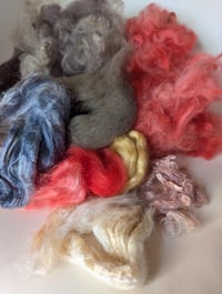 Image 3 of Cecropia Silk Moth Inspired Fiber Kit For Blending, Carding, Spinning, Felting