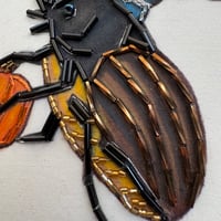 Image 4 of Beetle with (5 inches) 