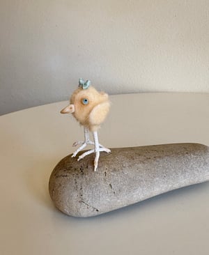 Image of Very Tiny Chicken Baby