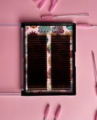 Image 1 of Earthy Eyes 🤎