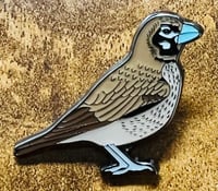 Image 2 of Thick-billed Lark - No.13 - Bird Pin Badge Group - Enamel Pin Badge
