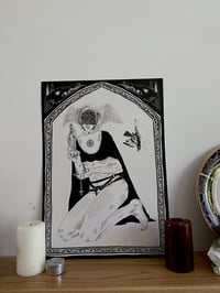 Image 1 of bird saint A3