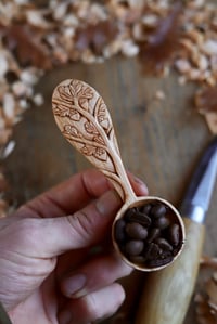 Image 9 of Oak Tree- Coffee Scoop