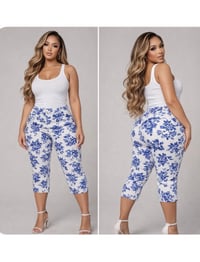 Image 1 of Sz 14 Croft & Barrow Classic Fit Capri #827*14 (Gently Used)