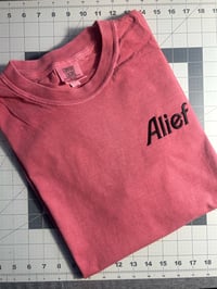 Image 1 of Alief Embroidered T-shirt / Custom Colors
