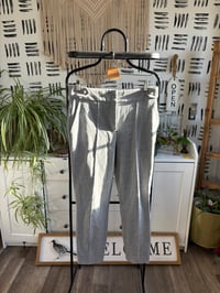 Express pants 