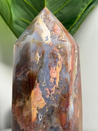 Image 1 of XXL RAINBOW IBIS JASPER TOWER -MADAGASCAR-