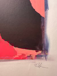 Image 7 of Joyce’s Choice 1,2 & 3