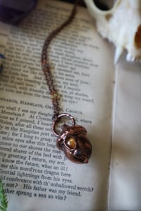 Image 7 of Harvest Moon Acorn 