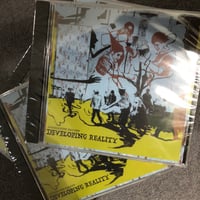 Hallucination Realized - Developing Reality CD