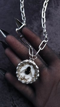 Image 2 of Dead fly necklace