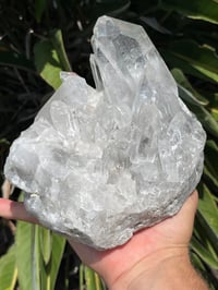 Image 4 of Clear Quartz Points Cluster Statement Piece #2446