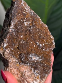 Image 3 of SUGAR DRUZY CHALCEDONY X MANGANESE -MOROCCO- J
