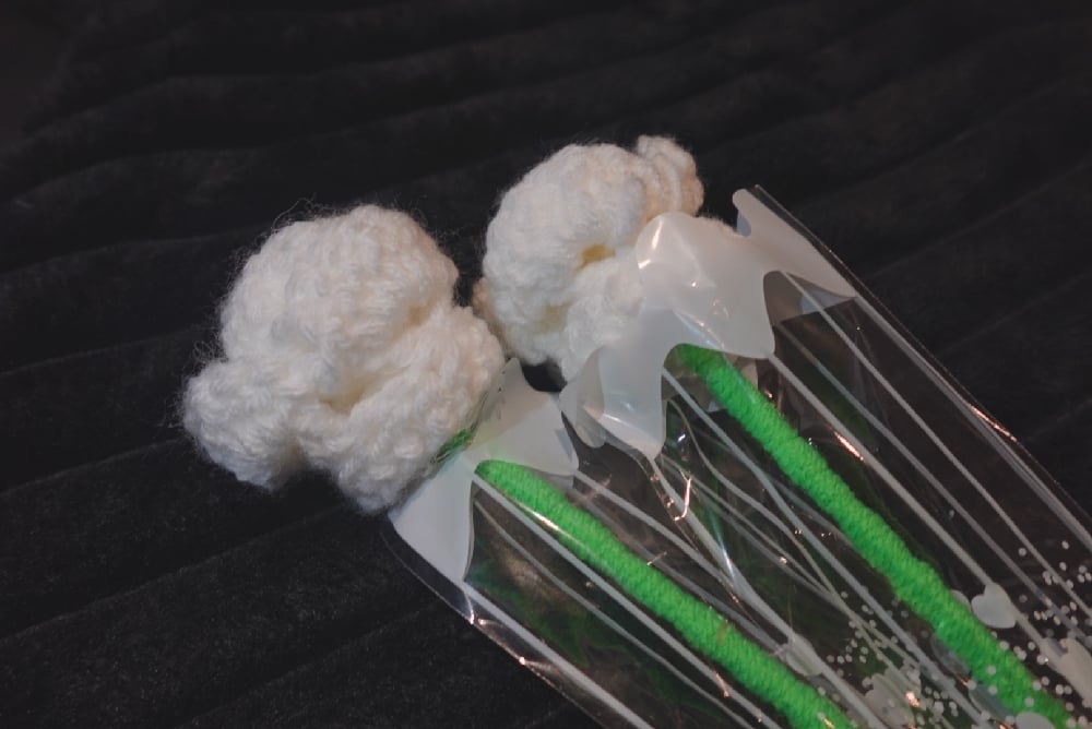 Image of Single Crochet Rose