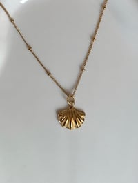 Image 1 of Gold Oyster Necklace