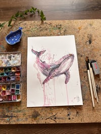 Image 1 of Baleine Rose 
