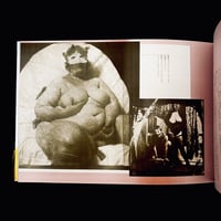 Image 3 of Toshiharu Ito 'Biological Ruins Theory'