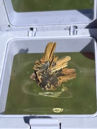 Image 3 of Golden Rutile & Hematite Star Specimen|Brazil #2932