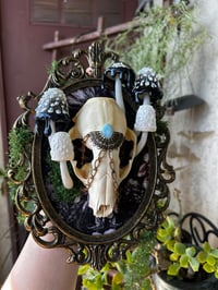 Image 1 of skull frame LED