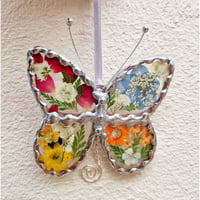 Image 1 of Real Flower Butterfly 