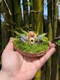 Image 2 of Mink Wall Decor