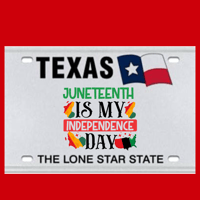 Image 2 of Texas License Plates 