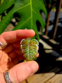 Image 2 of Mini variegated monstera pendant (uv reactive) 